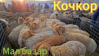 Мал базар. Кочкордон Жаны чыгарылыш 25.01.25 Тегерек каналы..