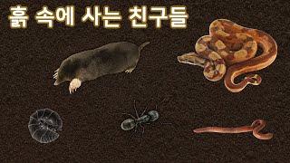 흙 속에 사는 친구들 | 이야기 나누기 | 만 3세 | 토모노트