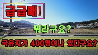 강화도부동산급매물 국유지400여평 투자 개발 다 되는 강화도땅급매