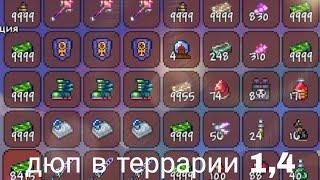 Как ДЮПАТЬ ПРЕДМЕТЫ в TERRARIA 1.4.4?И не только...