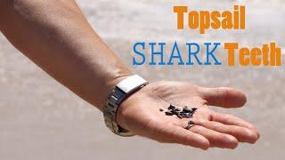 Topsail Island NC Shark Teeth Hunting | Searching the Beach for Shark Teeth