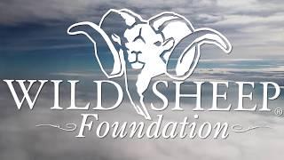 The Wild Sheep Foundation Presents "A Voice for Wildlife"