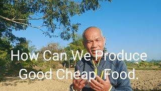 How Can We Produce Cheap Good Food