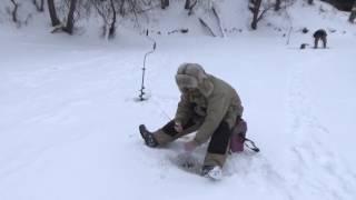 Городская рыбалка. Street Fishing.Ловля на безмотылку на реке Уча.