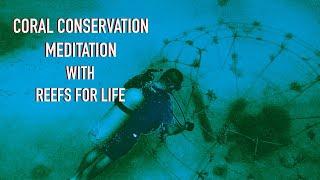 Coral Conservation Meditation with Reefs For Life