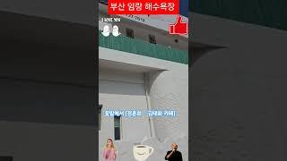 #부산 임랑 해수욕장 #.꽃밭에서 정훈희 ㆍ김태화 라이브 카페 #,#직캠 #