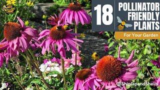 18 Pollinator Plants To Grow 