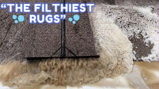 Squeegeeing the dirtiest Rugs!!! | relaxing satisfying asmr