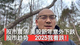 【股市震荡】美股新年意外下跌，2025年 美股何去何从？|美股回调？还是风光不再？