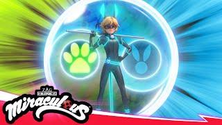 MIRACULOUS |  RABBIT NOIR - Transformation  | SEASON 5 | Tales of Ladybug & Cat Noir