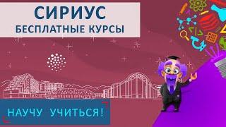 СИРИУС - Бесплатные Курсы - Научу Учиться - Выпуск 65