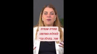 תחזית אסטרולוגית שנתית למזלות האדמה