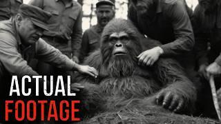 Top 24 CREEPIEST Bigfoot Videos EVER 2024