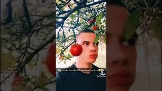 biologica (not my video)