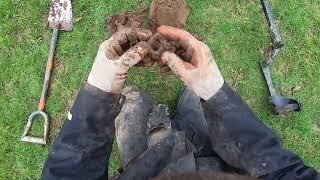 Fantastic luck shined upon me while metal detecting at the flooded park.