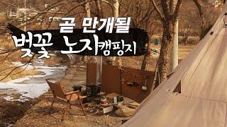 [계곡차박] 서울근교 벚꽃 무료캠핑장 / 솔로캠핑 / 원폴텐트 / 무료캠핑장 / 가성비화목난로