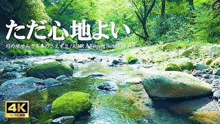 ただ心地よい水の音 新緑の森に響く鳥のさえずり:自立神経を整える、リラクゼーションにご活用ください【ASMR 4K】