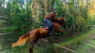 ПРЫГАЕМ в ЛЕСУ верхом! Через лесные препятствия 