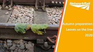 Autumn preparation - leaves on the line