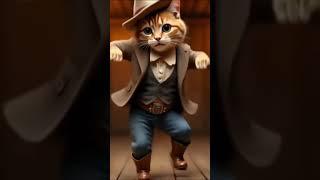 #cute  cat Dance #Funny#Groovy#paws #catdance #funny #groovy #catdance