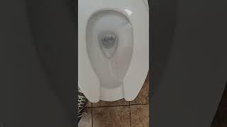 Absolutely awful Toto Dynamax Tornado Flush "toilet" (Never buy these!)
