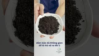 Trà sữa oolong rang | Plantrip Cha | 0909 94 95 83
