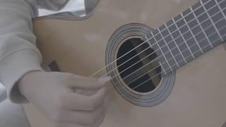 Altamira N600 Guitar | Product Demonstration