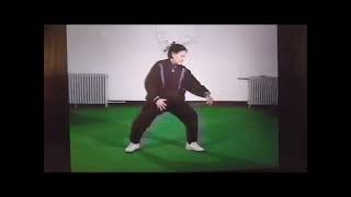 Maître Wang Yu Fang  fille du fondateur du Yi Quan 意拳.