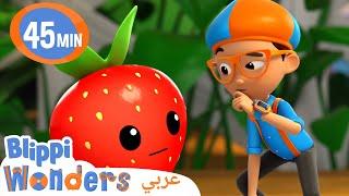 الفرق بين الخضر والفواكه | بليبي بالعربي | كرتون بليبي - Fruit & Vegetables