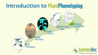 🟢 Introduction to Plant Phenotyping 