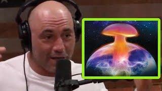 Panspermia? It's Entirely Possible! | Joe Rogan and Matt Braunger