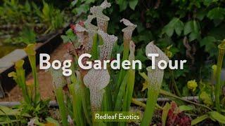 Bog Garden Tour - September 2021