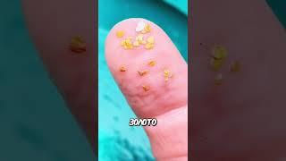 Пару хитростей для поиска золота #добычазолота #золото #золотоискатель