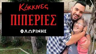 Κάνουμε γεμιστά με κόκκινες πιπεριές Φλωρίνης με τη γιαγιά μου στη Φλώρινα | Christos Anthopoulos