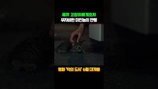 가족이었던 냥이를 잃었다 #악의도시 #6월개봉작 #6월신작 #영화추천 #한채영