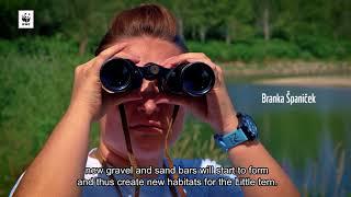 Wetlands: The Hotspots of Biodiversity | Croatia