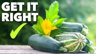 Zucchini Growing Masterclass: Grow Courgettes in 60 Days