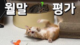 칠복아 6년 연습하다 집에 갈래?
