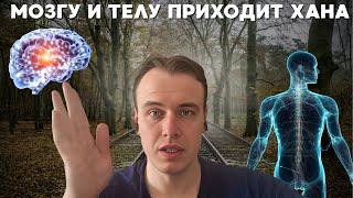 КАК ВОЗДЕРЖАНИЕ УБИВАЕТ ТВОЕ ЗДОРОВЬЕ