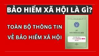 Bảo hiểm xã hội là gì? Toàn bộ thông tin về Bảo hiểm xã hội