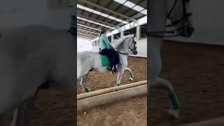 horse riding girl tiktok video#ZH fun house