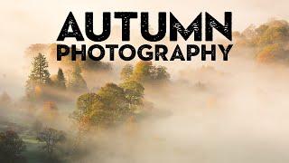 7 SIMPLE tips you SHOULD know for AUTUMN PHOTOGRAPHY