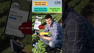 Combo sản phẩm EMI cho vườn thêm xanh, ngăn ngừa sâu bệnh