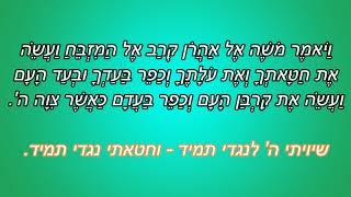 שויתי ה' לנגדי תמיד וחטאתי נגדי תמיד | רבי יהודה לב חיסמן זצ"ל
