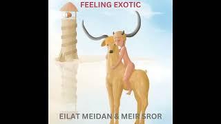 FEELING EXOTIC- EILAT MEIDAN & MEIR SROR