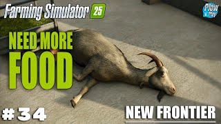  FROM -1$ TO MEGA FARM ep. 34  Farming Simulator 25 - New Frontier  Plow And Play