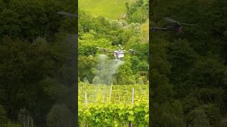 Vineyard spray with drone in Italy #thewinearound #prosecco #wine #drone #agriculture