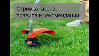 Стрижка газона: правила и рекомендации