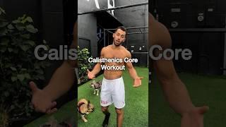 Calisthenics Core Workout | Beginner to Expert