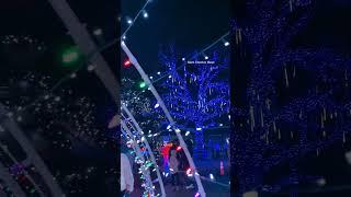 Daystar #christmas #lights
